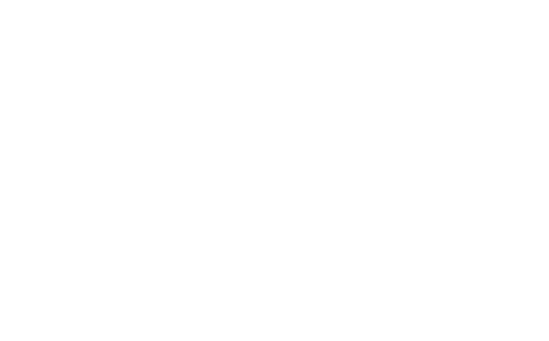 PPP logo