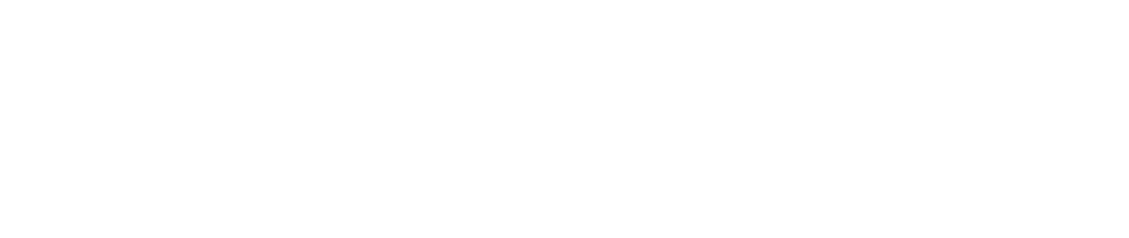DX Logo White e x